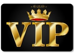 兌換禮品“VIP造價(jià)者”1個(gè)年會員號