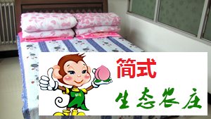 云夢(mèng)仙境農(nóng)家院-京北第一漂農(nóng)家院-青秀家園農(nóng)家院