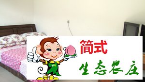 云夢(mèng)仙境農(nóng)家院-京北第一漂農(nóng)家院-青秀家園農(nóng)家院