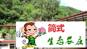 云夢(mèng)仙境農(nóng)家院-京北第一漂農(nóng)家院-青秀家園農(nóng)家院