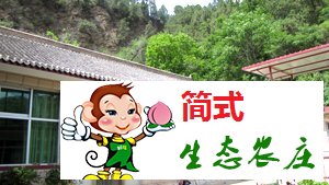 云夢(mèng)仙境農(nóng)家院-京北第一漂農(nóng)家院-青秀家園農(nóng)家院