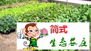 云夢(mèng)仙境農(nóng)家院-京北第一漂農(nóng)家院-青秀家園農(nóng)家院