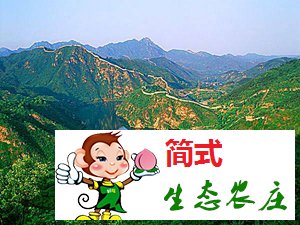 懷柔黃花城水長(zhǎng)城農(nóng)家院