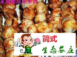 黃花城水長(zhǎng)城農(nóng)家院