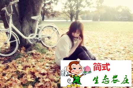 人與人之間的信任 無信不交往，守信方長久